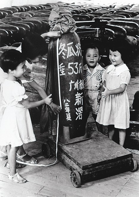 杨对荣《冬瓜比我高》广州市郊新滘公社1982.jpg