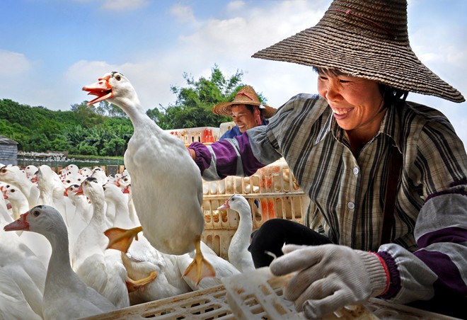 黄礼初《喜悦》广东中山 2010.jpg